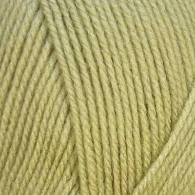 Stylecraft special DK 2173 Mushy Peas