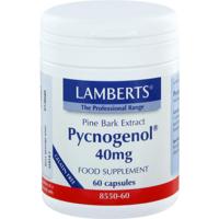 Lamberts Pijnboombast extract (Pycnogenol 40mg) 60 Vegetarische capsules - thumbnail