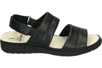 Ganter 200521 - alle - thumbnail