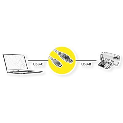 ROLINE USB2.0 Type C Cable, C - B, M/M, zwart, 3 m