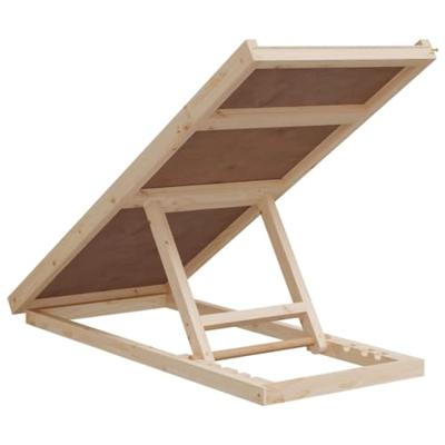 VidaXL Hondenloopplank 100x40 cm massief vurenhout grijs