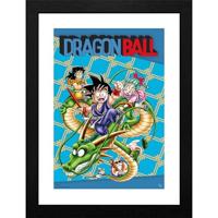 Dragonball Framed Print - Cover - thumbnail