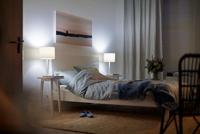 Philips PlafonniereCavanal 35 - 3280931P0 - thumbnail