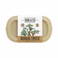Gift Republic Bonsai Bomen - thumbnail