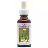 Animal Essences Praying mantis (bidsprinkhaan) 30 Milliliter - thumbnail