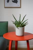 Sierpot Charlie XXS grijs - thumbnail