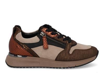 Gabor 76.446.40 savane bronce multi bruin maat 40