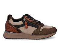 Gabor 76.446.40 savane bronce multi bruin maat 40 - thumbnail