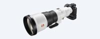 Sony FE 600mm F/4.0 GM - thumbnail