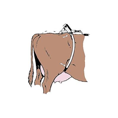 Spanbeugel amerikaans model