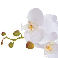VidaXL Kunstplant met pot orchidee 75 cm wit - thumbnail
