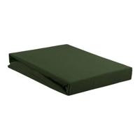 Beddinghouse Hoeslaken Jersey Dark Green-1-persoons (80/90 x 200/210/220 cm) - thumbnail