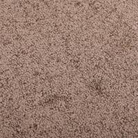 VidaXL Deurmat 80x120 cm bruin - thumbnail