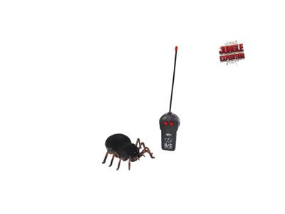 Rc Jungle expedition creepy spin