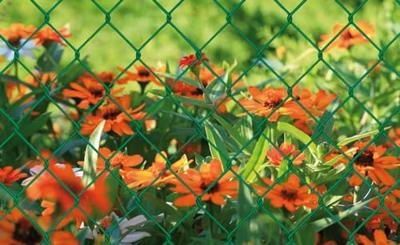 *Vierk.gaas groen gepl.1000x2.7(25)