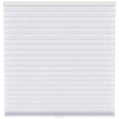 Fenstr plisségordijn Singapore dubbel 45mm lichtdoorlatend - sneeuwwit (10013)