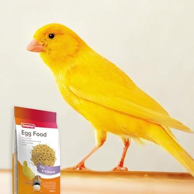 Beaphar ei-krachtvoer kanarie / tropische vogels - thumbnail