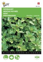 Pepermunt - thumbnail