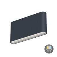 LED Wandlamp Callisto Antraciet- Kleur instelbaar - 10 Watt - IP65 - thumbnail