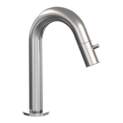 Opbouw Fonteinkraan Brauer Brushed Edition Met Gebogen Uitloop RVS Geborsteld PVD Opbouw Fonteinkraan Brauer Brushed Edition Met Gebogen Uitloop RVS Geborsteld PVD