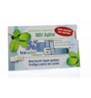 Xyligum Kauwgom Icemint - thumbnail
