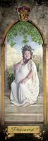 Poster Harry Potter - Door The Fat Lady 53x158cm - thumbnail