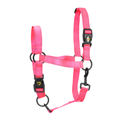 Excellent Horse Premium Halster L Cob Roze