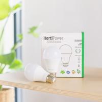 Groeilamp - 2 stuks - thumbnail