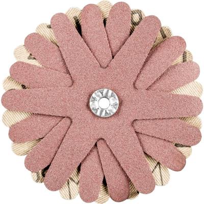 PFERD TOOLS 42732128 Schuursterren Diameter 80 mm 10 stuk(s)