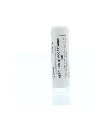 Aesculus hippocastanum D30 Aesculus hippocastanum D30