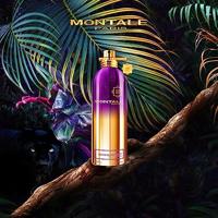 Montale Paris Sensual Instinct Eau de Parfum 100ml - thumbnail