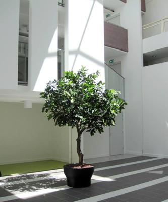 Eikenboom Giant deluxe kunstboom 300cm - FR - brandvertragend