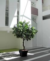 Eikenboom Giant deluxe kunstboom 300cm - FR - brandvertragend - thumbnail