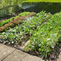 Gardena Start set bloembed - thumbnail