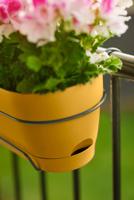 Elho Vibia campaba all-in-1 trough 50 honey yellow - thumbnail