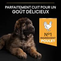 Purina PRO PLAN DOG Large Robust Puppy, droogvoer voor hondenpuppy's met OPTISTART, rijk aan kip & rijst, premium hondenvoer, 3 kg - thumbnail