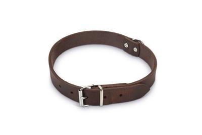 Lederen honden halsband bruin - 62 cm x 25 mm