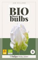 Bio Tulp white rebel 5 bollen - thumbnail