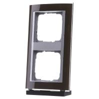 Gira Event Clear Bruin / Aluminum 2-voudig