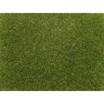 NOCH 08364 Strooigras Groen (gemiddeld) 4 mm, 20 g