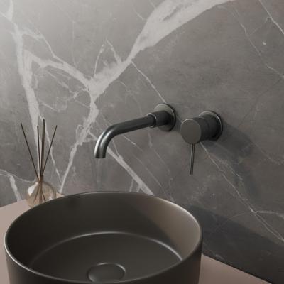 BWS Wastafelkraan Inbouw | Colorato | Incl.Inbouwdeel | Gunmetal