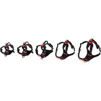 Hondentuig Balou Rood L 60-85 cm x 25 mm - thumbnail