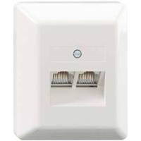 Rutenbeck UAE 2x8(8) Ap rw Netwerkdoos Opbouw (op muur) Inzet met centraalstuk en frame CAT 3 Zuiver wit - thumbnail