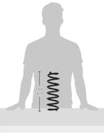 Chassisveer SP3734 - thumbnail