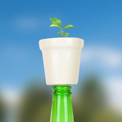 Gift Republic Botanische Flessen - Bonsai Boom