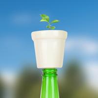 Gift Republic Botanische Flessen - Bonsai Boom - thumbnail