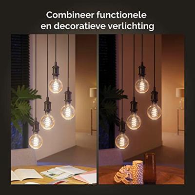 Philips Hue - E27 - 7W - White Globe - G93 - 929003051901