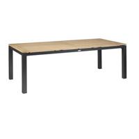 Memphis Tuintafel Teak Antraciet 220x100 cm tuinmeubel Exotan - Exotan - thumbnail