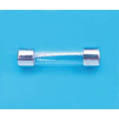 Belfuse 3SB 10-R Buiszekering 10 A 250 V 100 stuk(s) Bulk