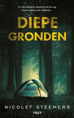 Diepe gronden - Nicolet Steemers - ebook